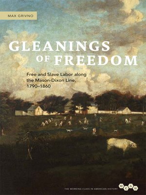 cover image of Gleanings of Freedom